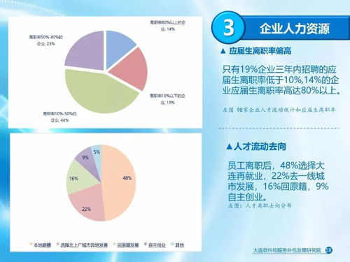 大連軟件和信息技術(shù)服務(wù)業(yè)發(fā)展報(bào)告 聚焦軟件外包服務(wù)的崛起與展望